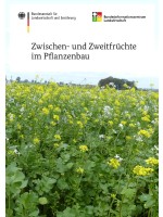 Zwischen- und Zweitfrüchte im Pflanzenbau