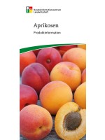 Aprikosen