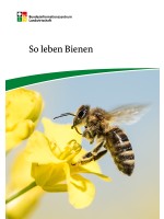 So leben Bienen