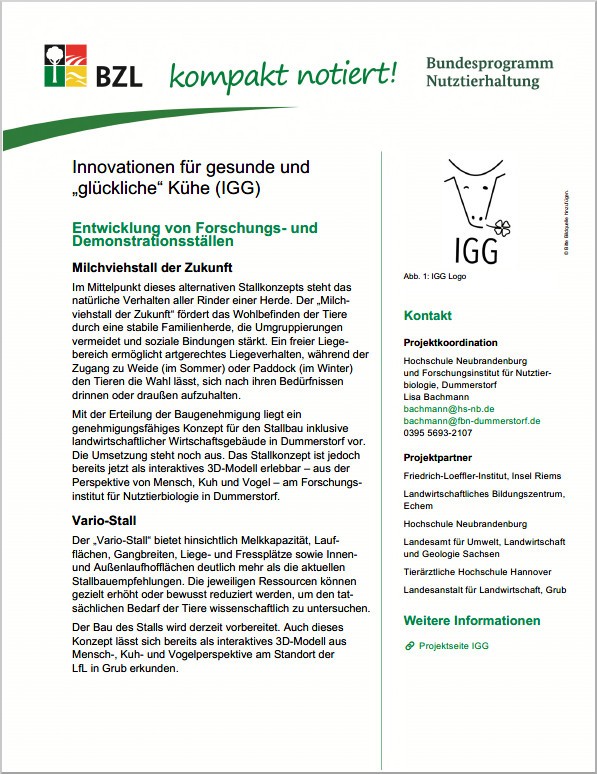 IGG
