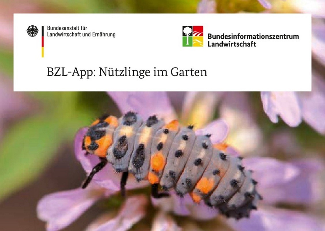 Nützlinge im Garten App-Postkarte