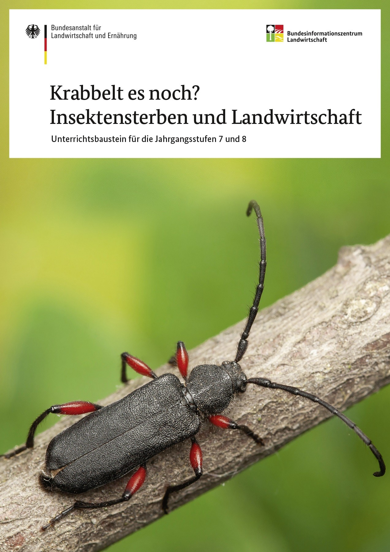 Krabbelt es noch? Insektensterben und Landwirtschaft 