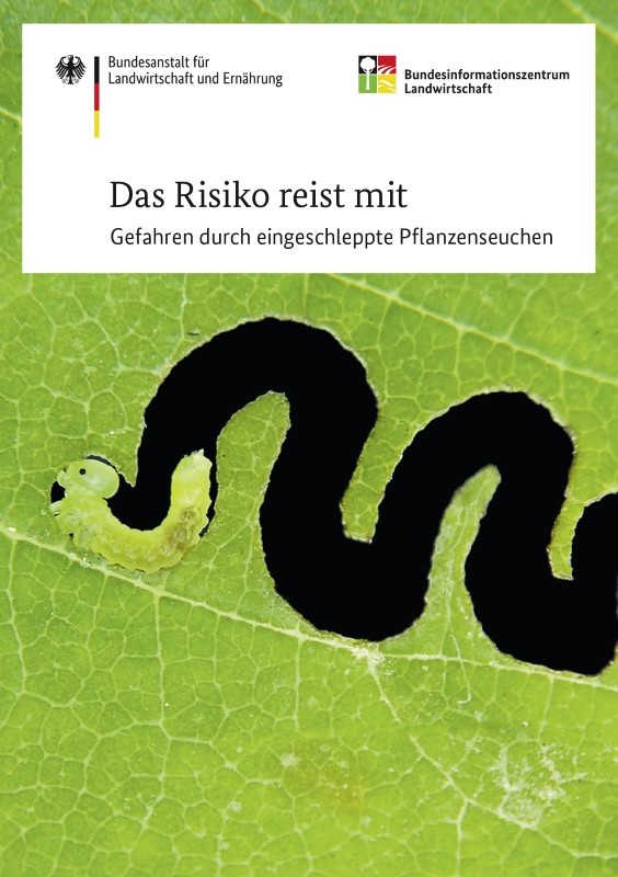 Das Risiko reist mit