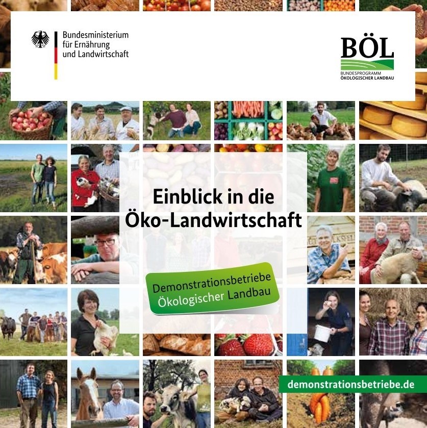 Einblick in die Öko-Landwirtschaft