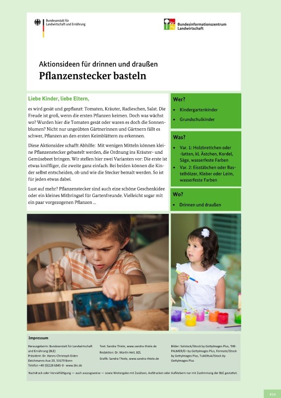 Pflanzenstecker basteln