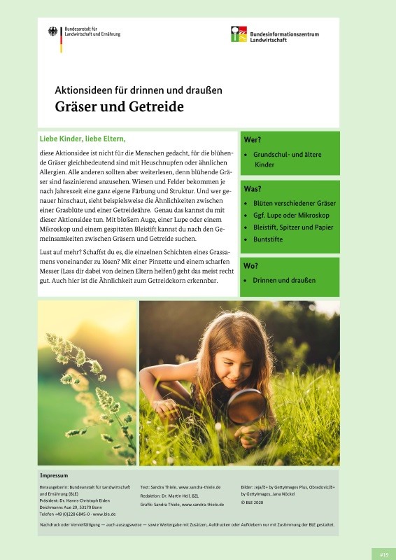 Gräser und Getreide