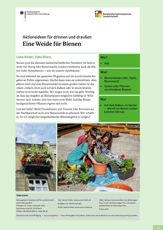 Eine Weide für Bienen