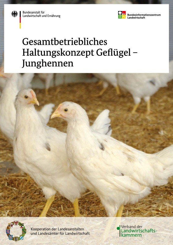 Gesamtbetriebliches Haltungskonzept Geflügel - Junghennen