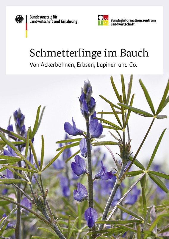 Produktbild: Schmetterlinge im Bauch. Öffnet die Seite zum bestellen.