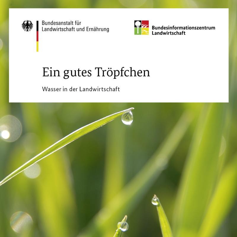 Ein gutes Tröpfchen - Wasser in der Landwirtschaft