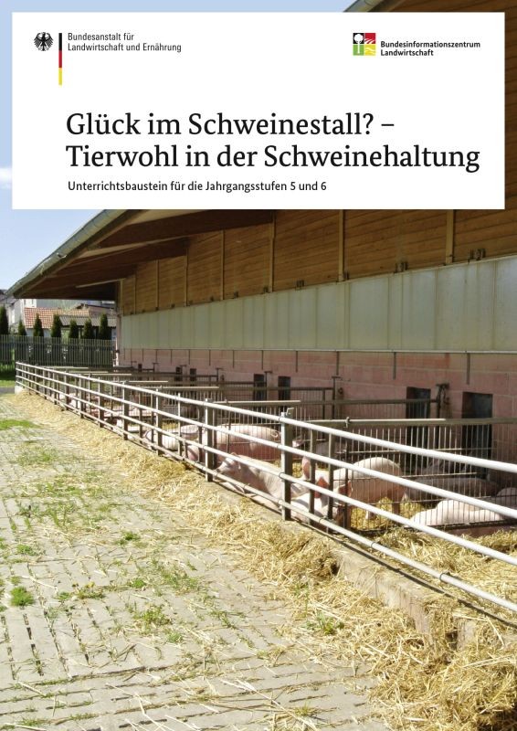 Glück im Schweinestall? - Tierwohl in der Schweinehaltung