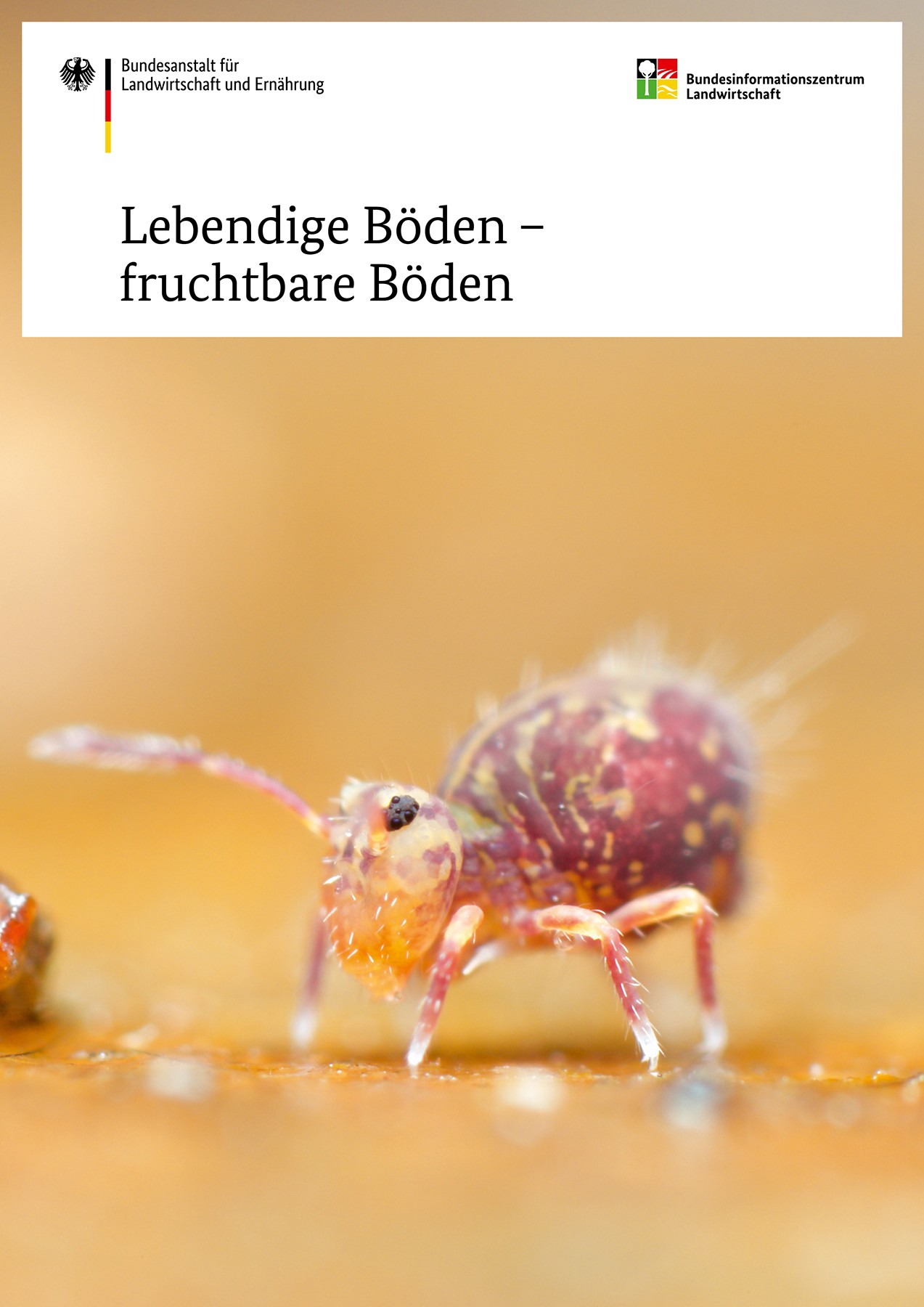 Lebendige Böden - fruchtbare Böden