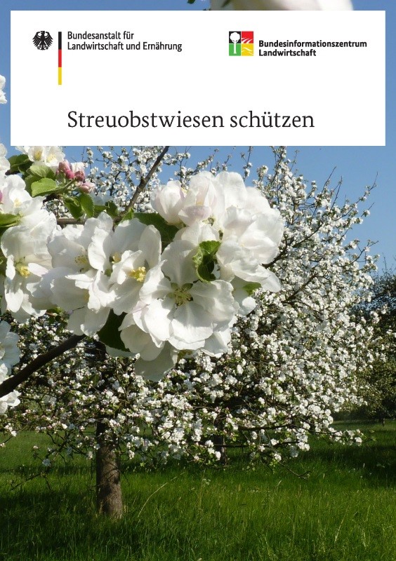 Streuobstwiesen schützen