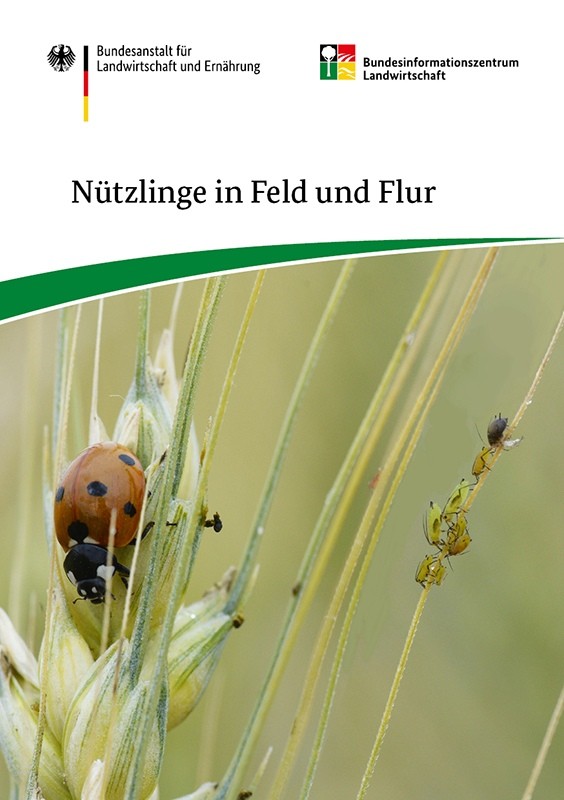 Nützlinge in Feld und Flur