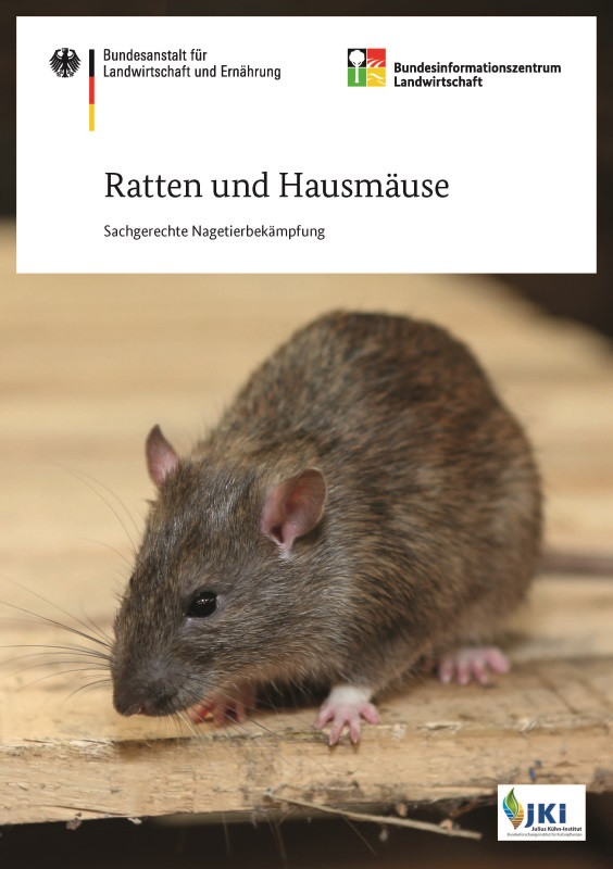 Ratten und Hausmäuse