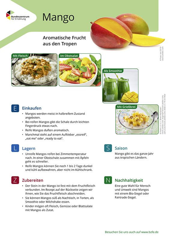 Mango - Lebensmittel-Infoblatt