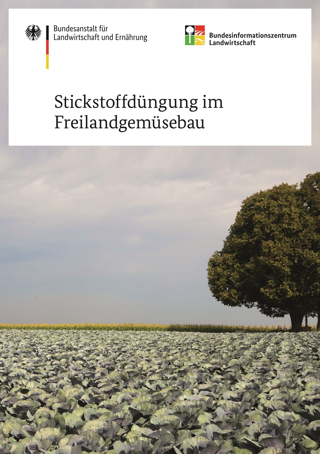 Stickstoffdüngung im Freilandgemüsebau