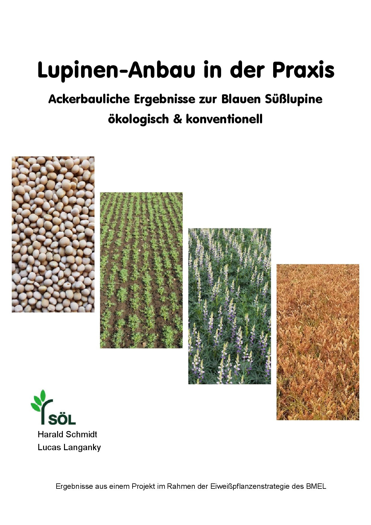Lupinen-Anbau in der Praxis Ackerbauliche Ergebnisse zur Blauen Süßlupine ökologisch & konventionell