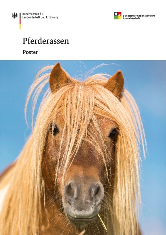 Pferderassen - Poster