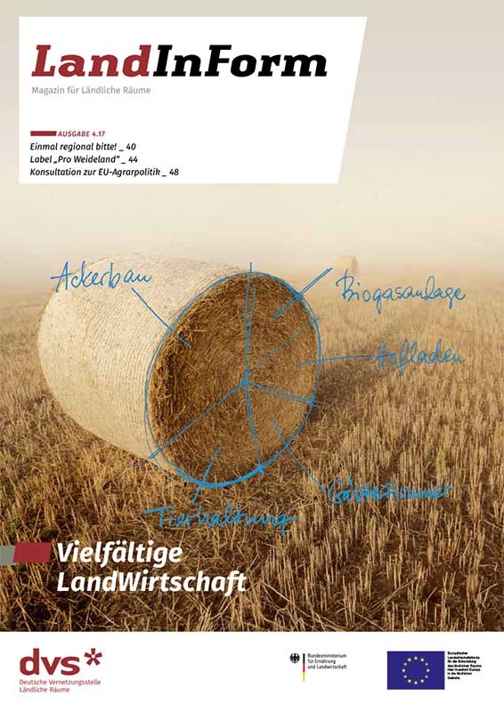 LandInForm - Magazin für Ländliche Räume 4.17