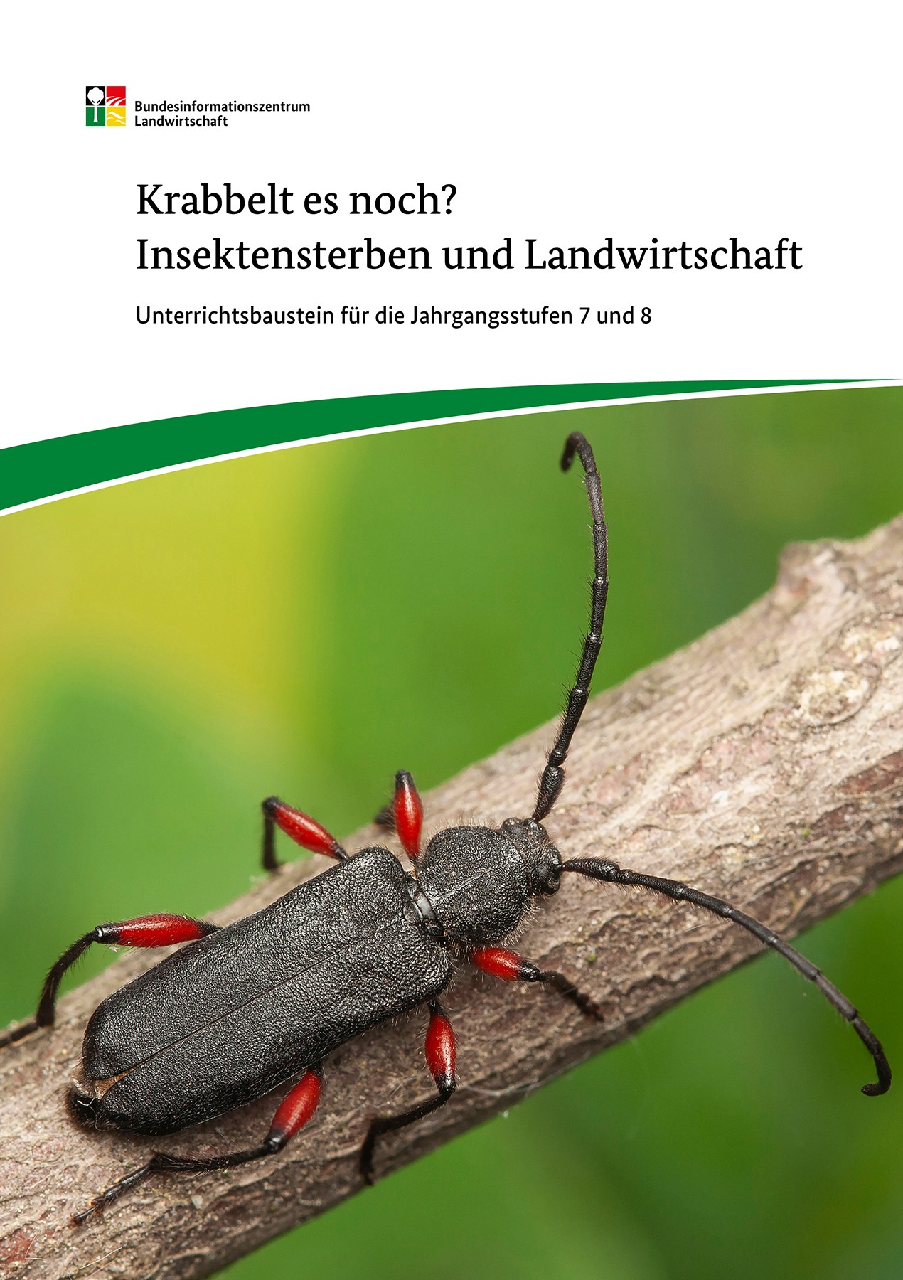 Krabbelt es noch? Insektensterben und Landwirtschaft 