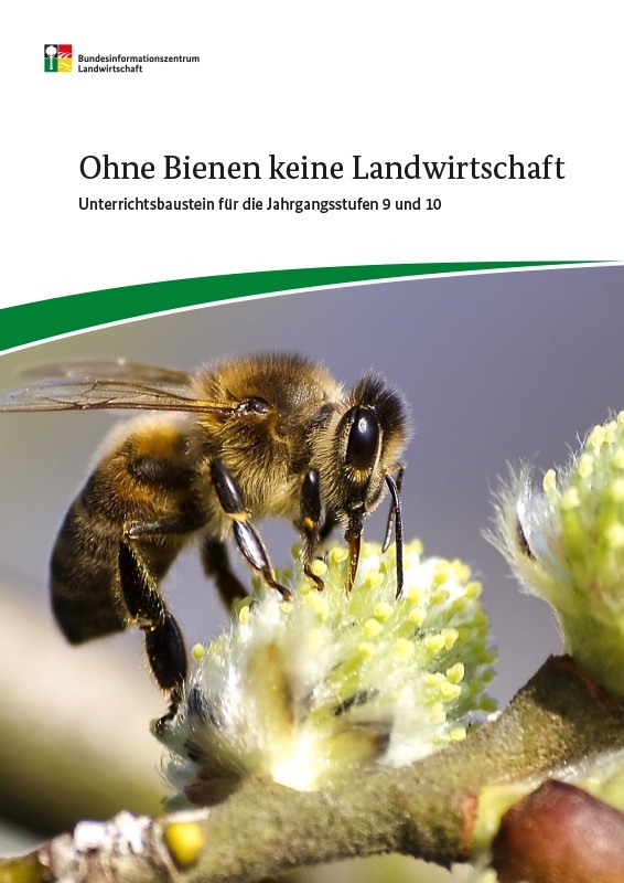 Ohne Bienen keine Landwirtschaft