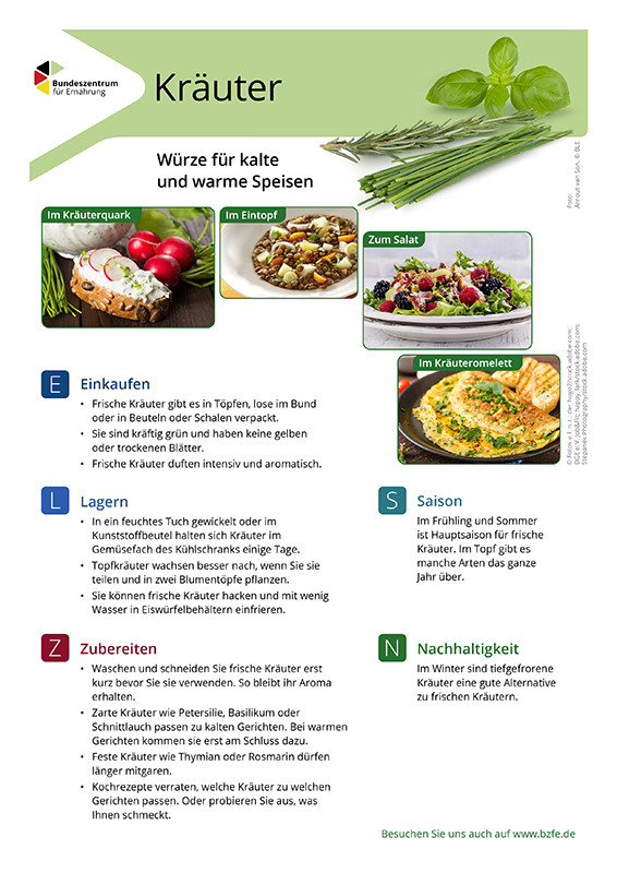 Kräuter - Lebensmittel-Infoblatt