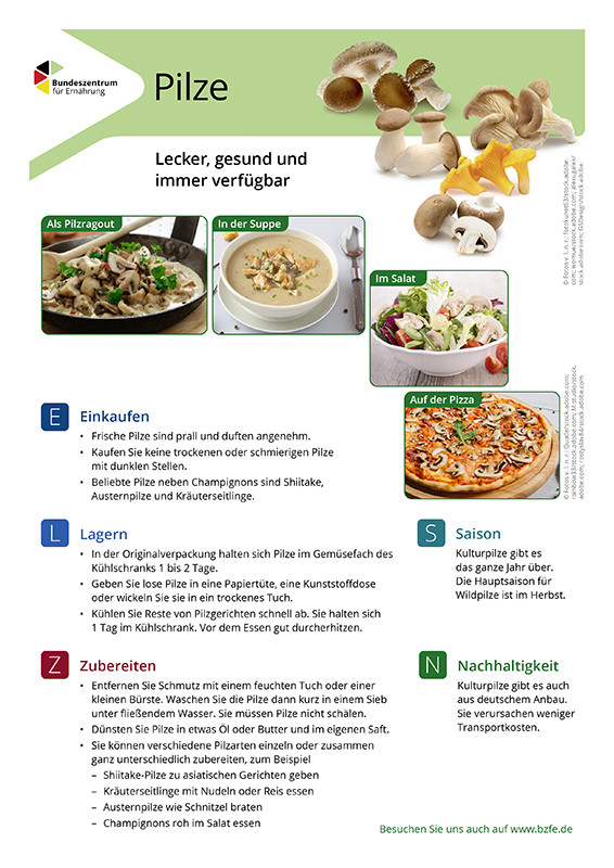 Pilze - Lebensmittel-Infoblatt