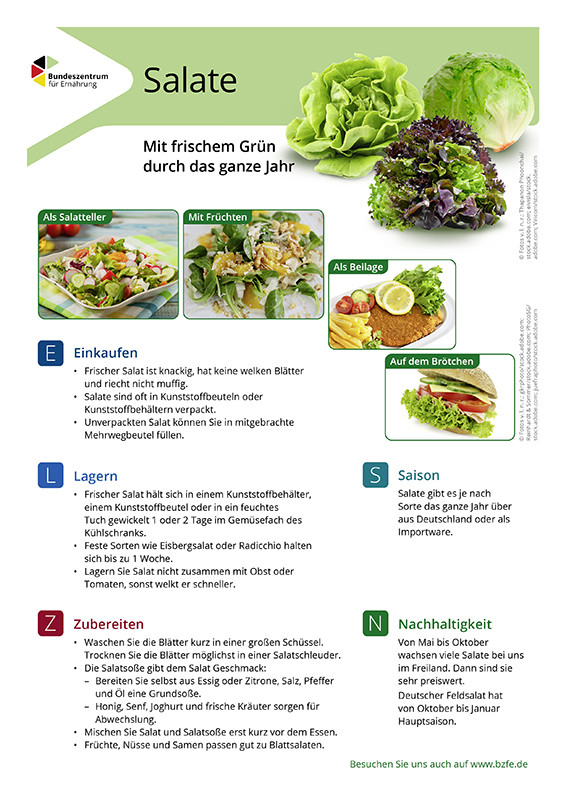 Salate - Lebensmittel-Infoblatt