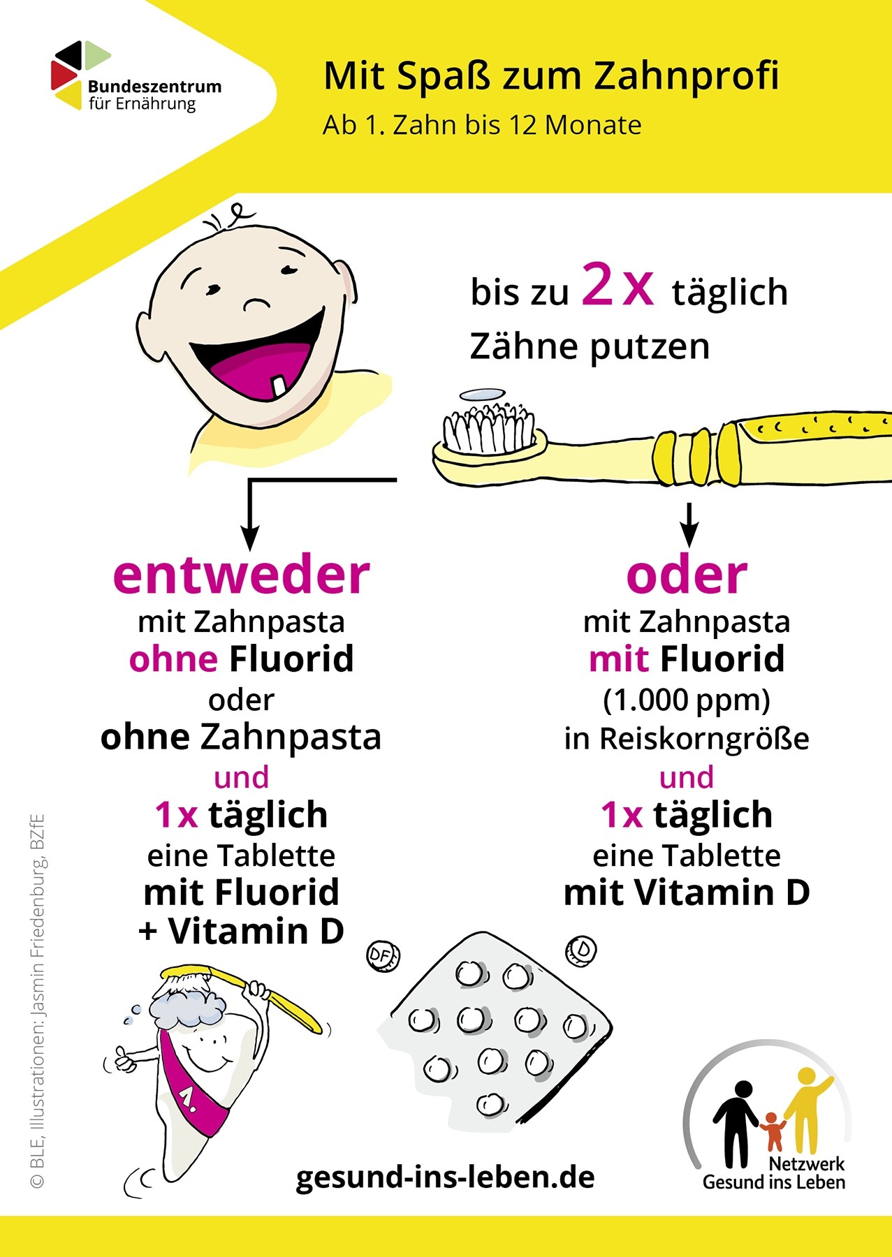 Mit Spaß zum Zahnprofi - ab Zahndurchbruch bis 12 Monate