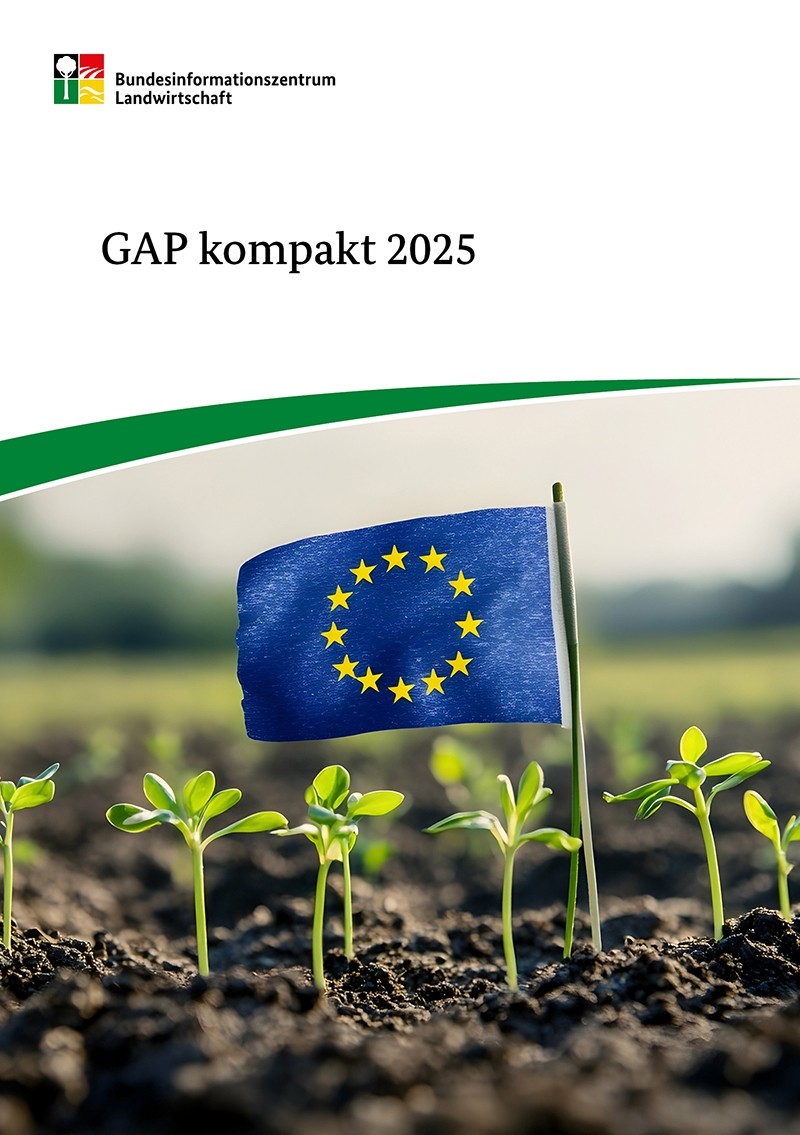 GAP kompakt 2025