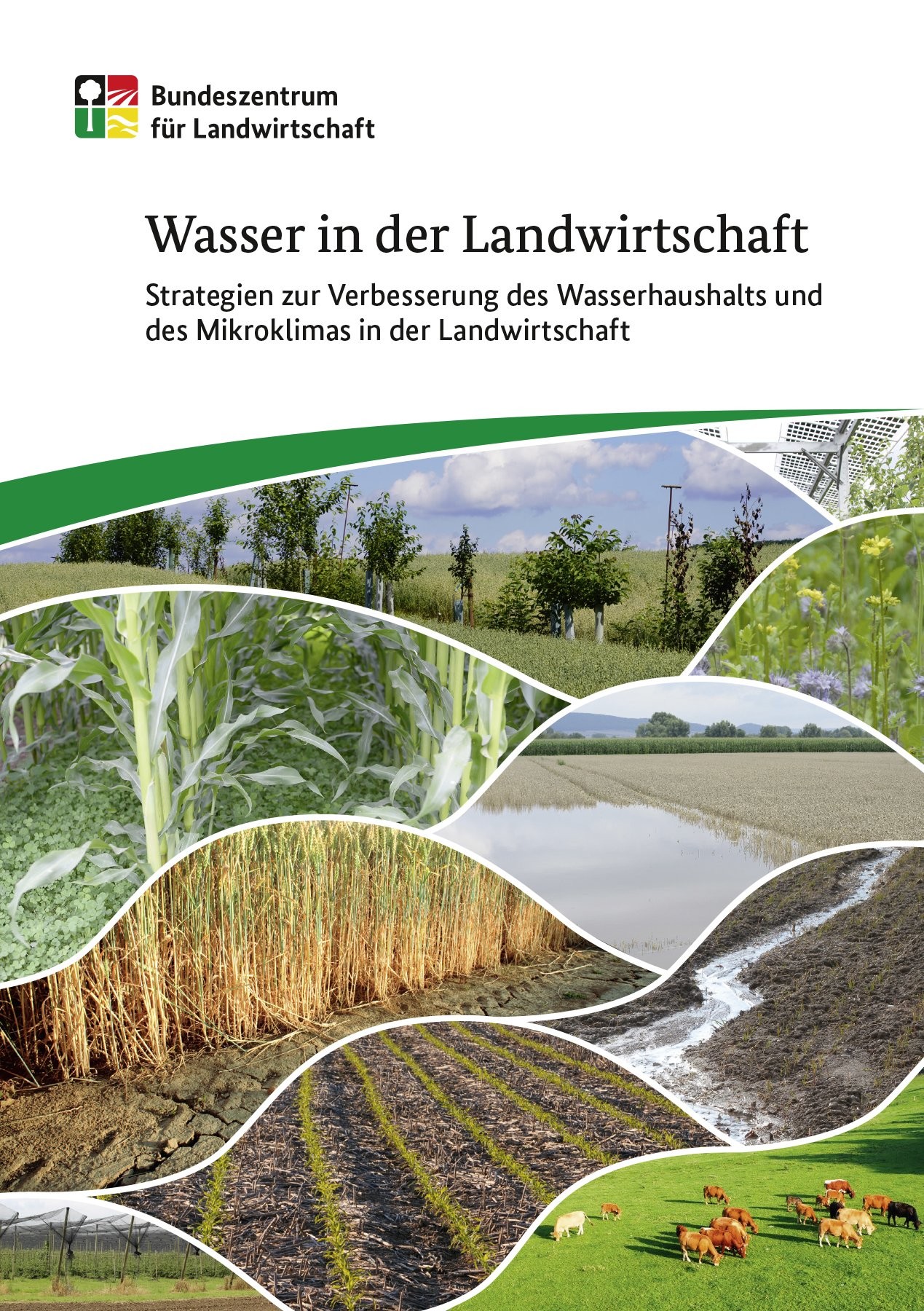 Wasser in der Landwirtschaft