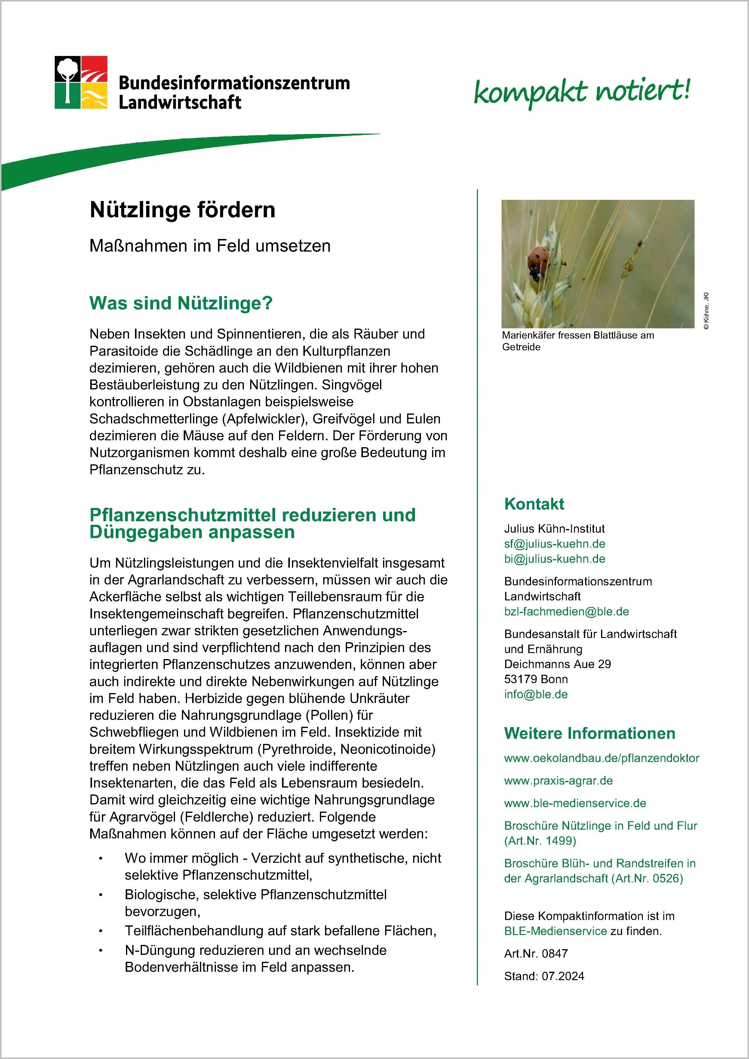 Nützlinge fördern