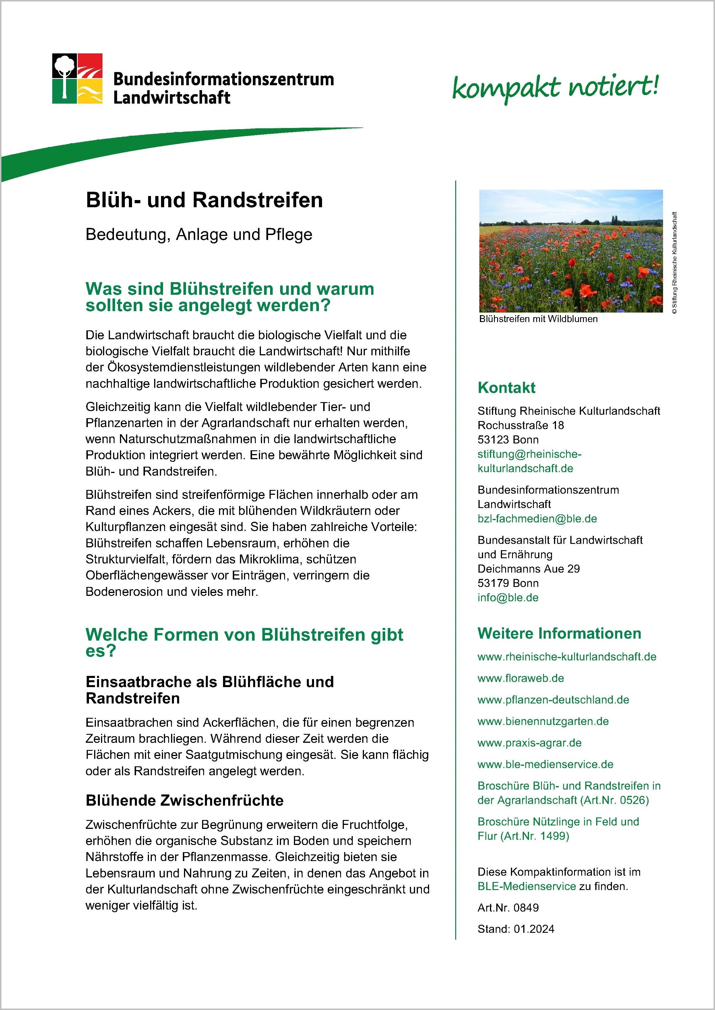 Blüh- und Randstreifen