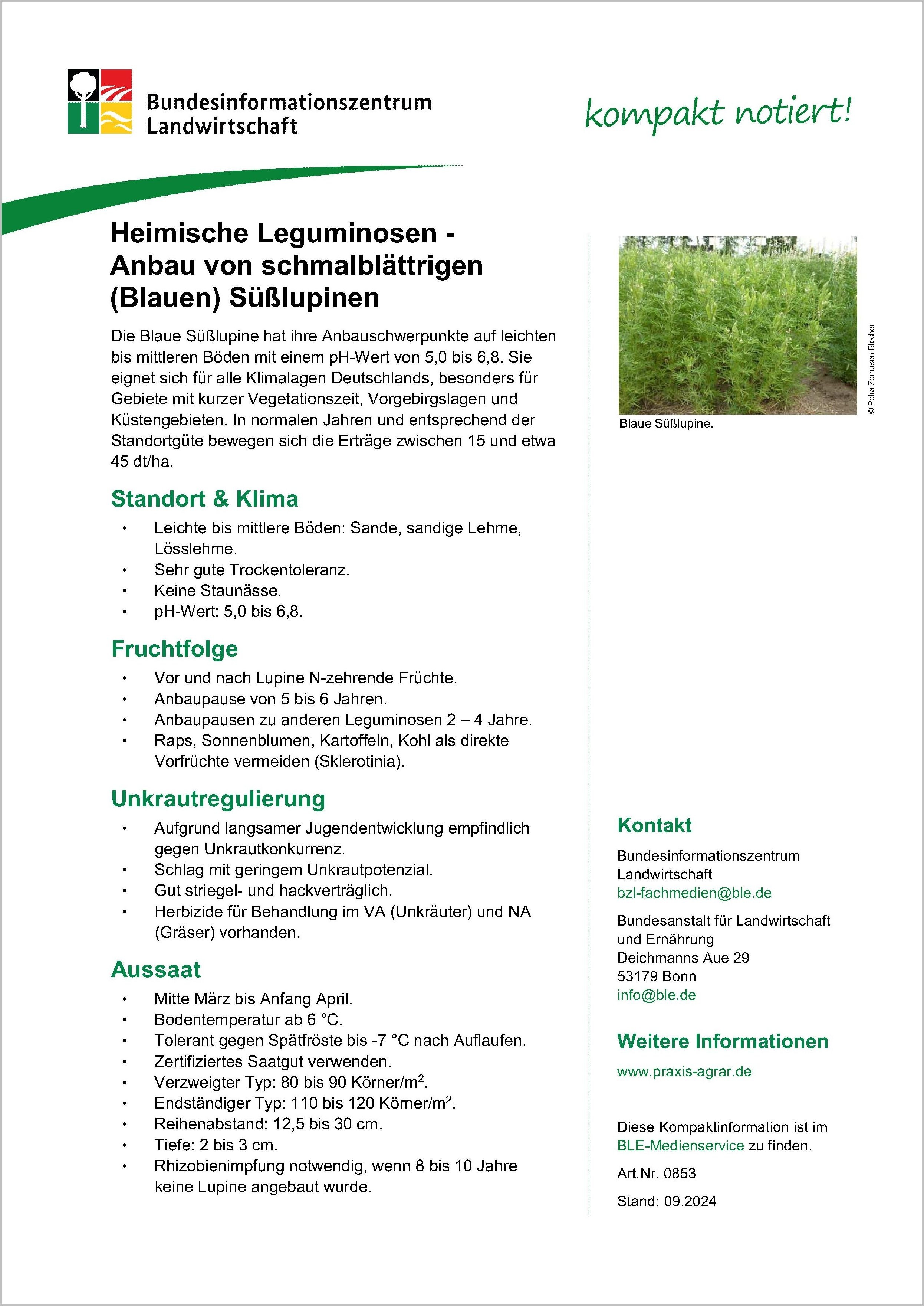 Heimische Leguminosen - Anbau von Blauen Süßlupinen