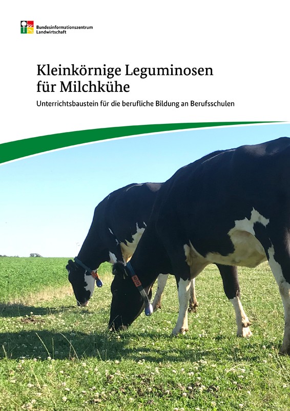 Kleinkörnige Leguminosen für Milchkühe