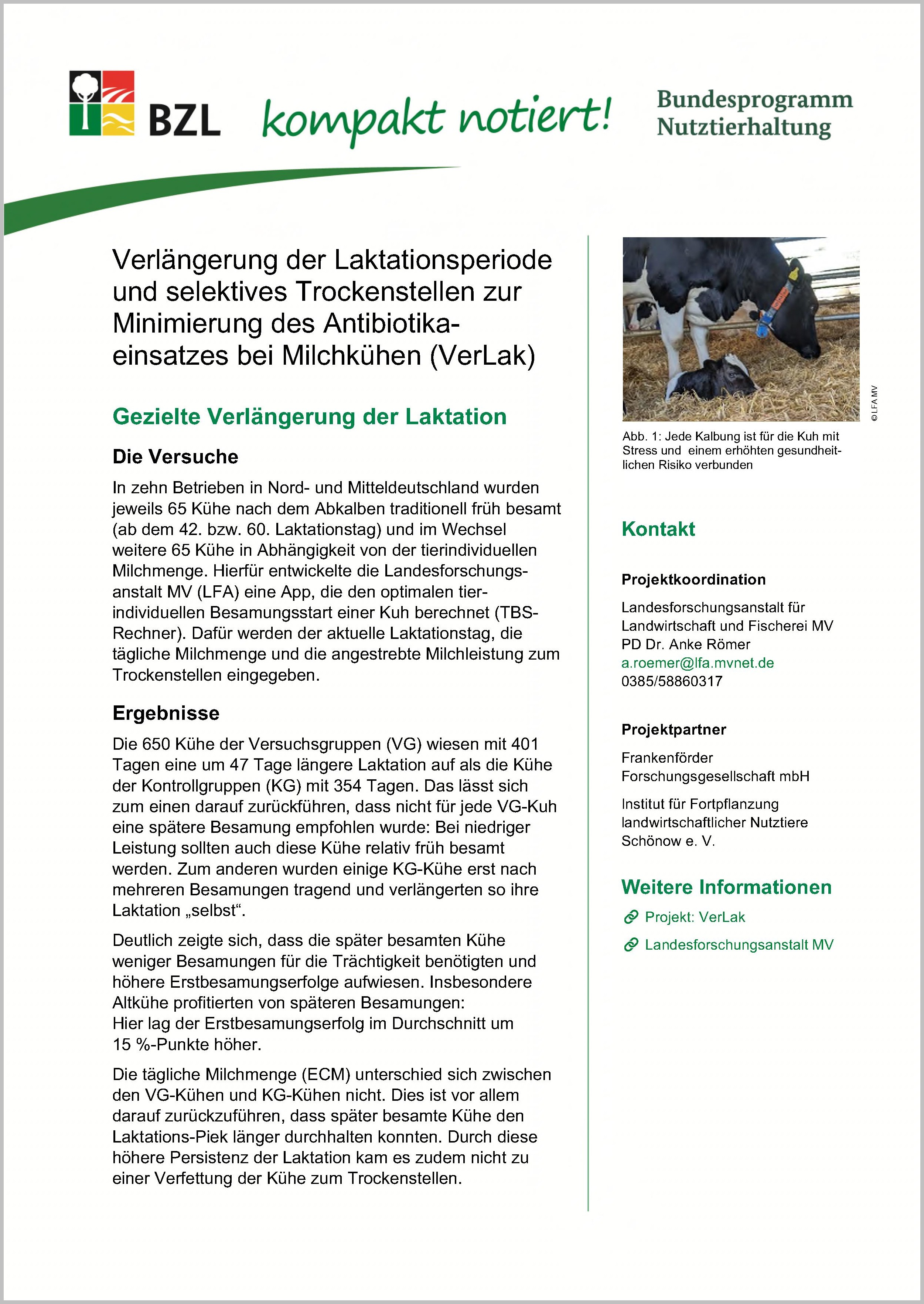 Verlängerung der Laktationsperiode und selektives Trockenstellen zur Minimierung des Antibiotikaeinsatzes bei Milchkühen (VerLak)