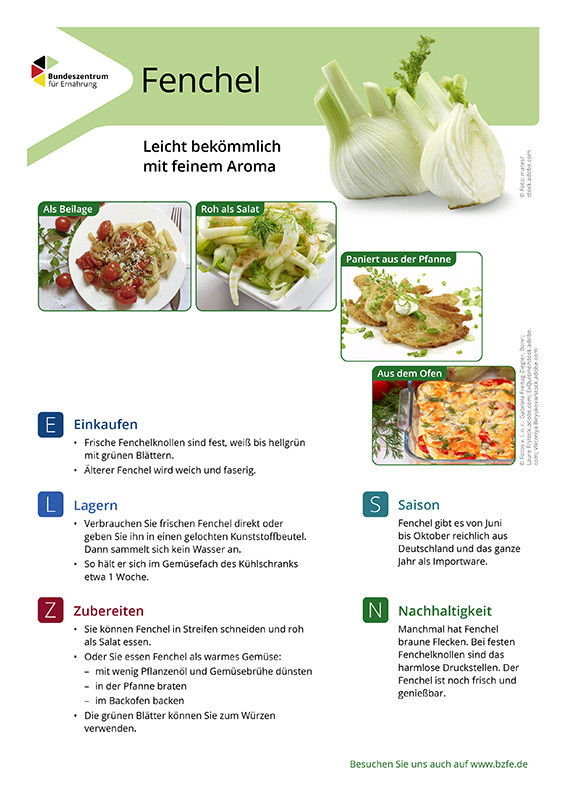 Fenchel - Lebensmittel-Infoblatt