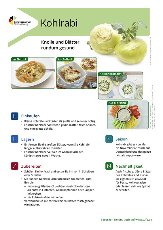 Kohlrabi - Lebensmittel-Infoblatt