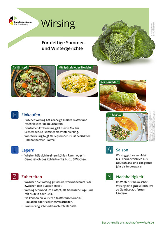 Wirsing - Lebensmittel-Infoblatt