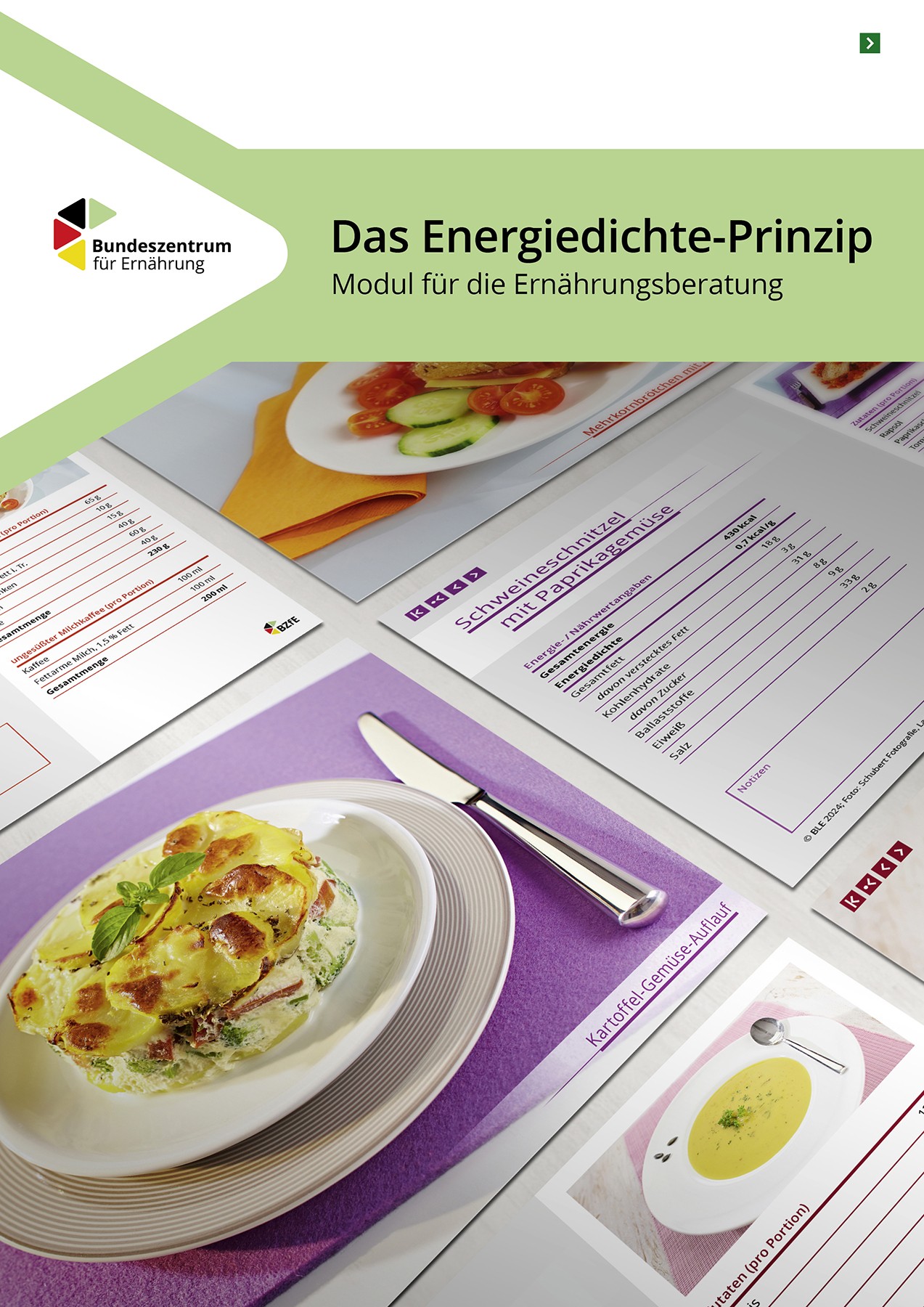 Produktbild: Das Energiedichte-Prinzip . Öffnet die Seite zum bestellen.