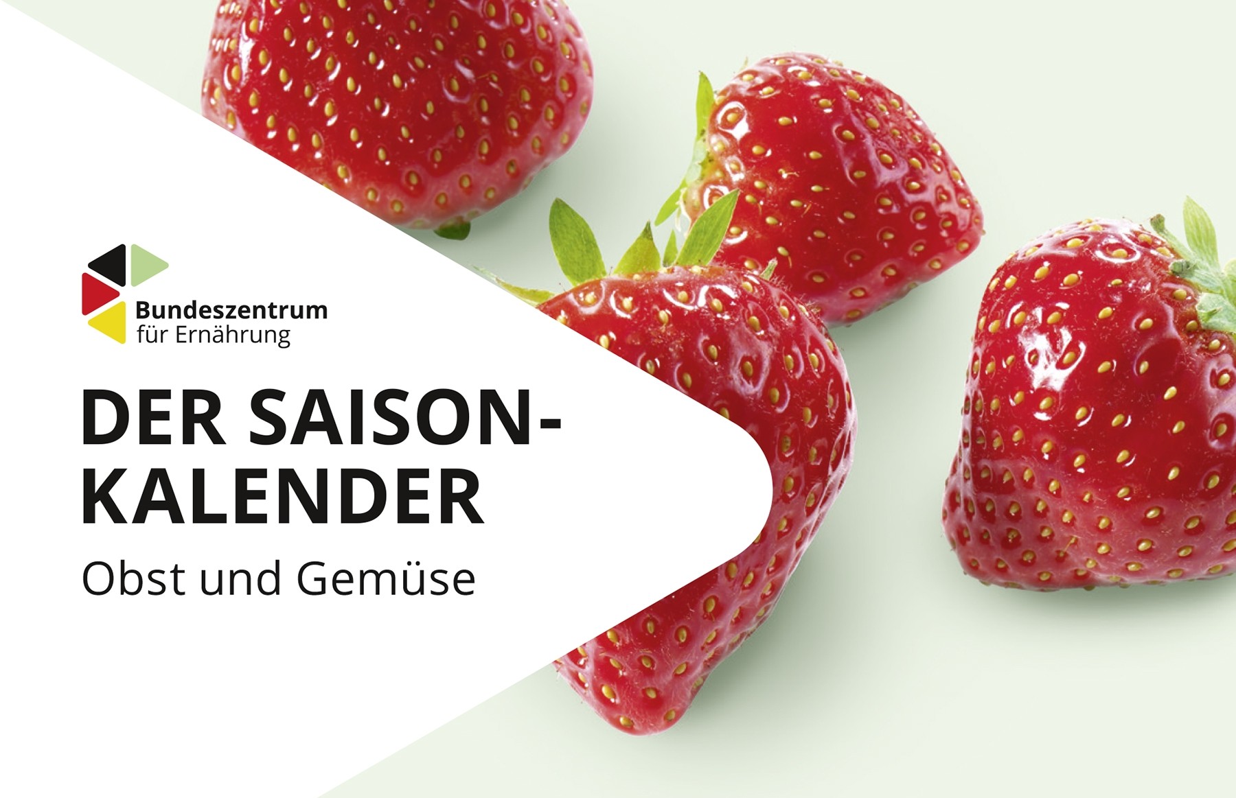 Produktbild: Der Saisonkalender Obst und Gemüse Taschenformat, nur im 10er Pack. Öffnet die Seite zum bestellen.
