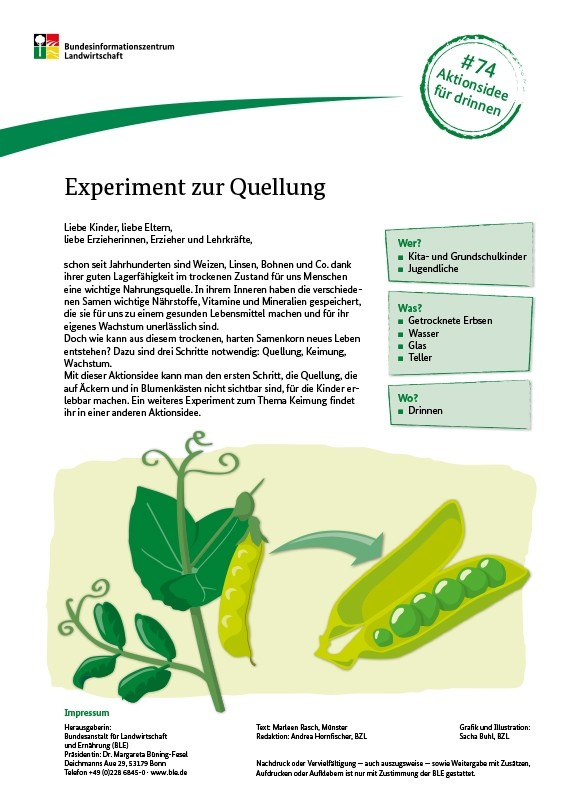 Aktionsidee: Experiment zur Quellung