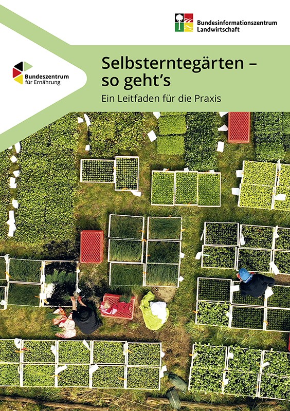Produktbild: Selbsterntegärten – so geht’s. Ein Leitfaden für die Praxis. Öffnet die Seite zum bestellen.