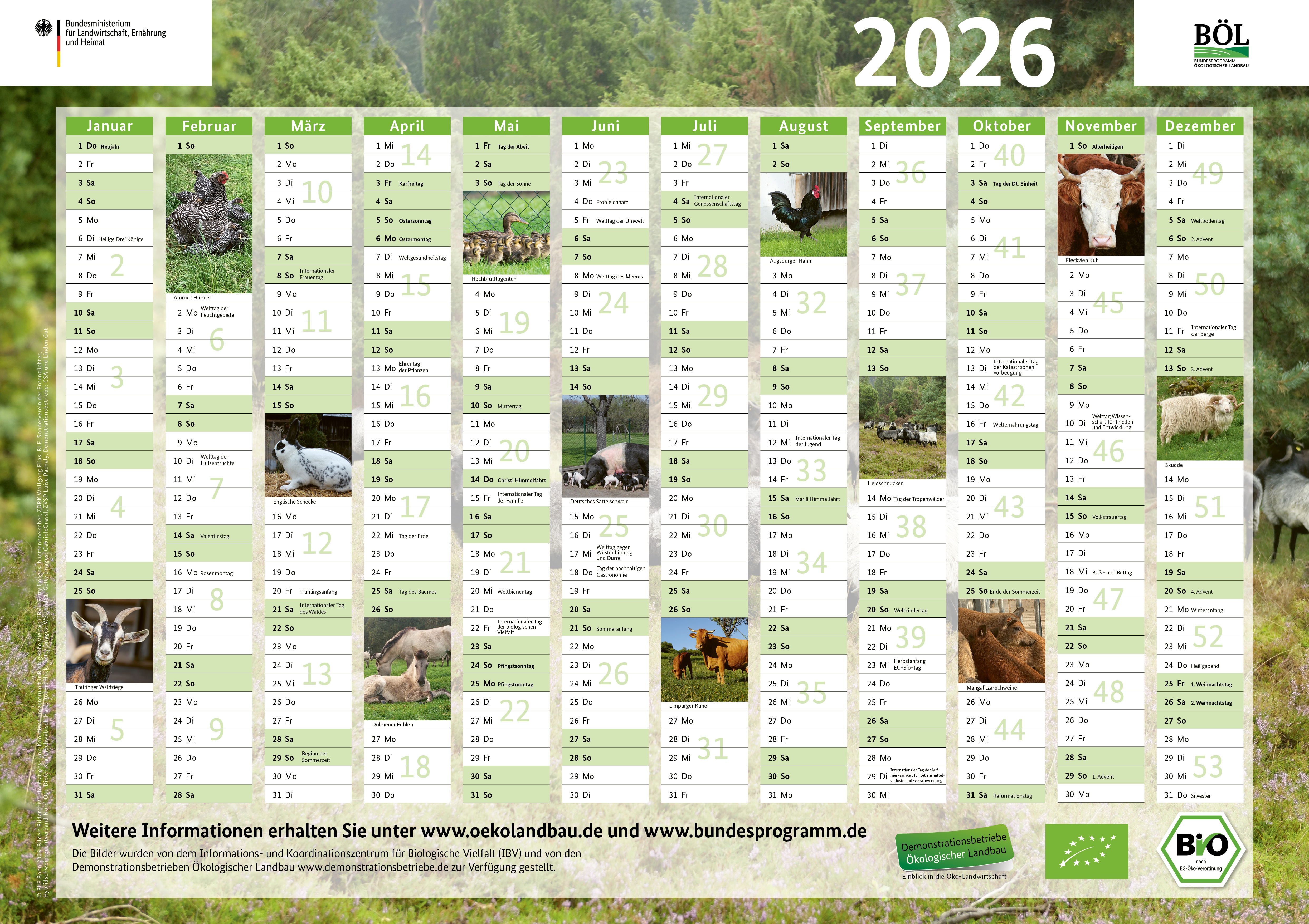 BÖL-Wandkalender 2026