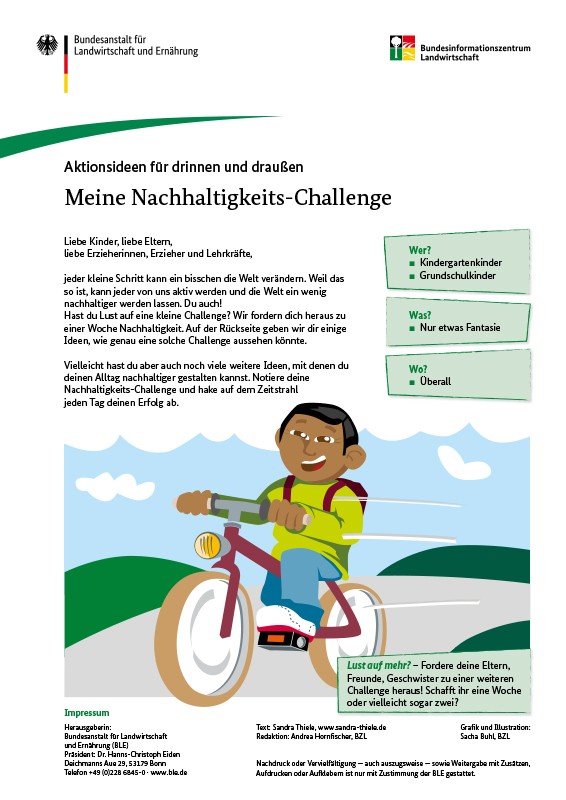 Aktionsidee: Nachhaltigkeits-Challenge 