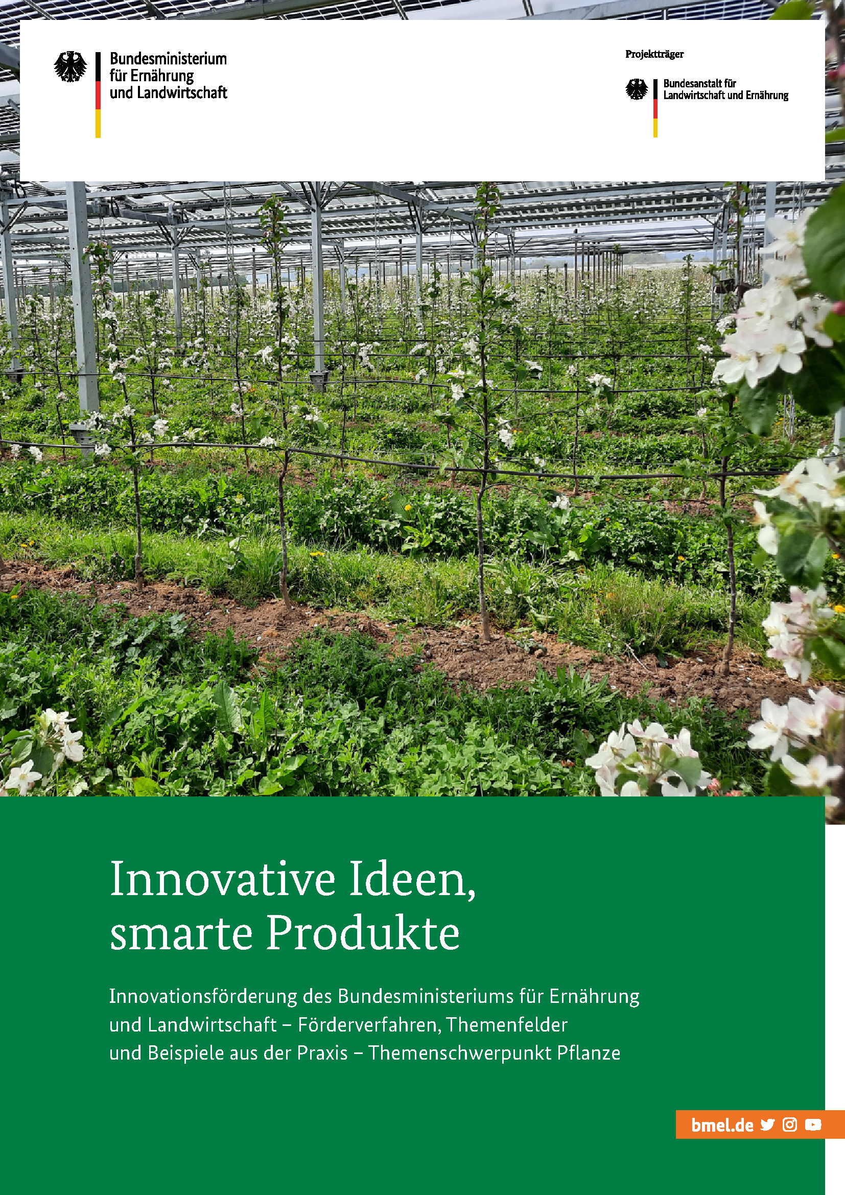 Die Innovationsförderung des BMEL - Schwerpunkt Pflanze