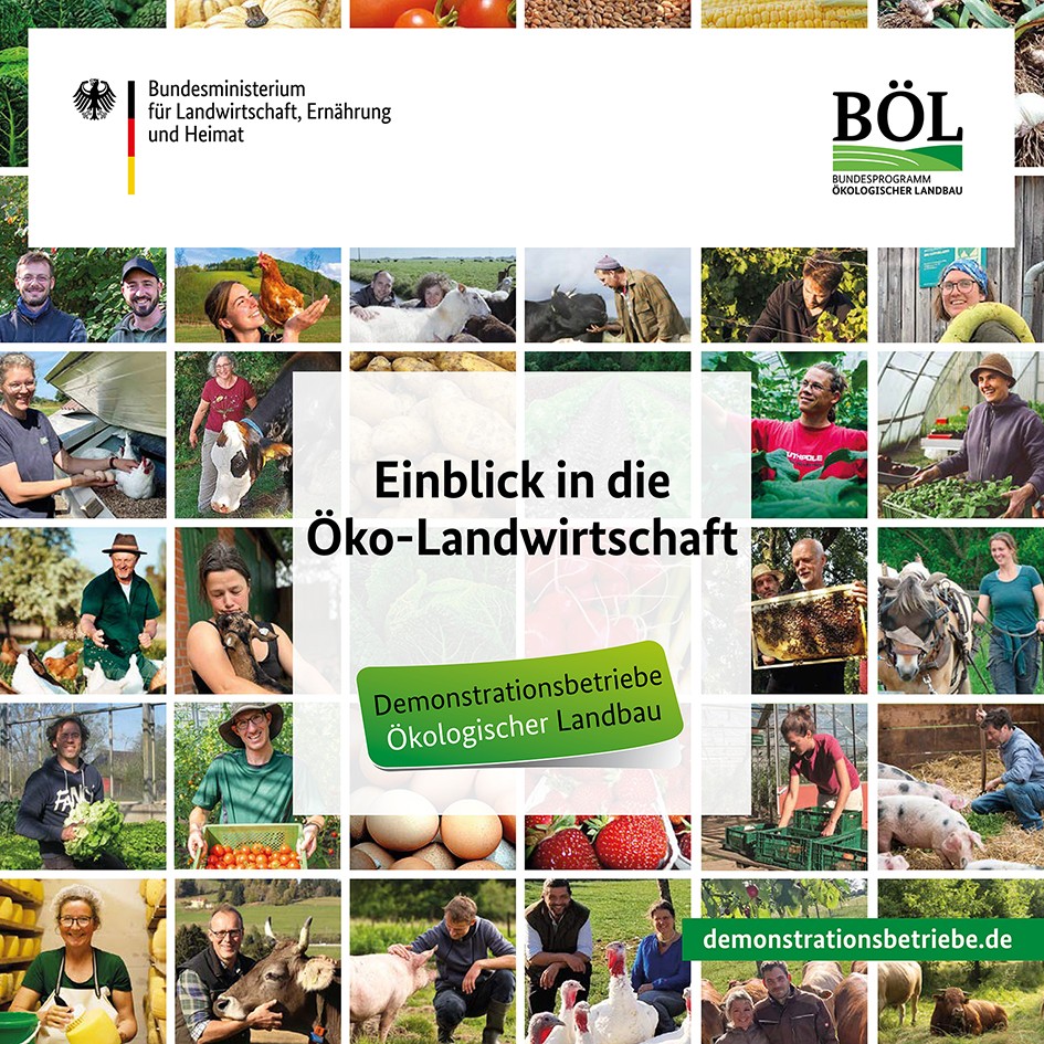 Einblick in die Öko-Landwirtschaft