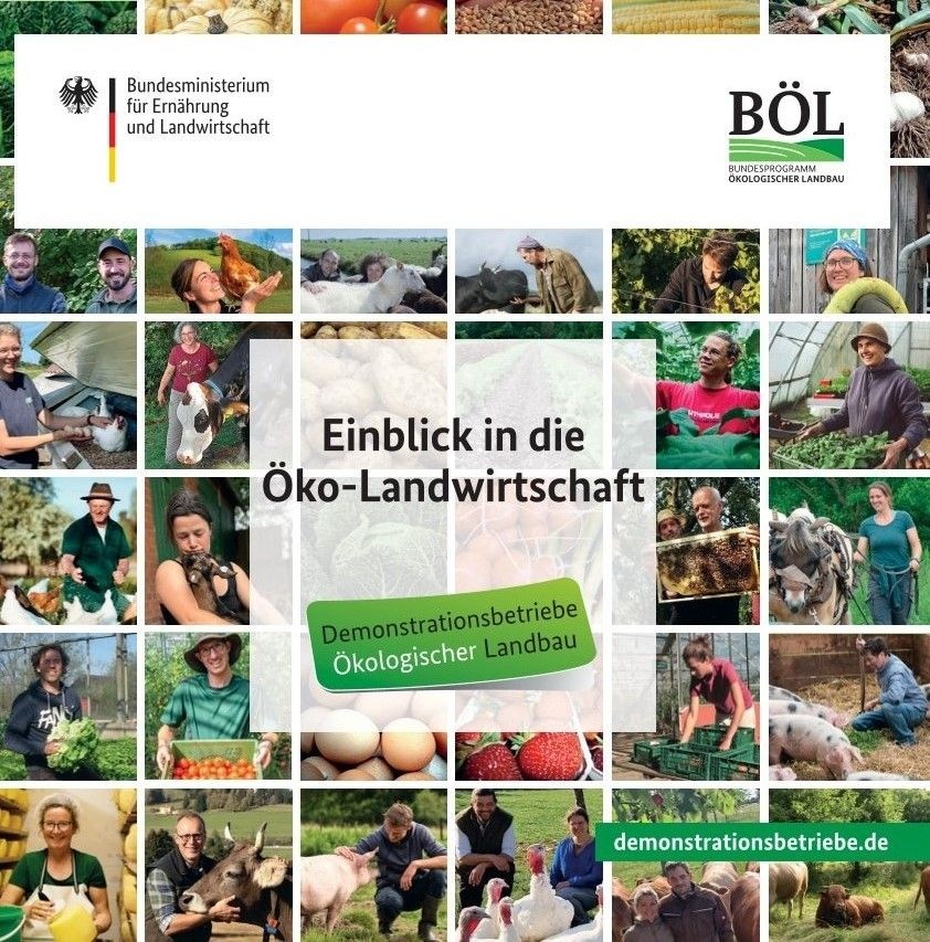 Einblick in die Öko-Landwirtschaft