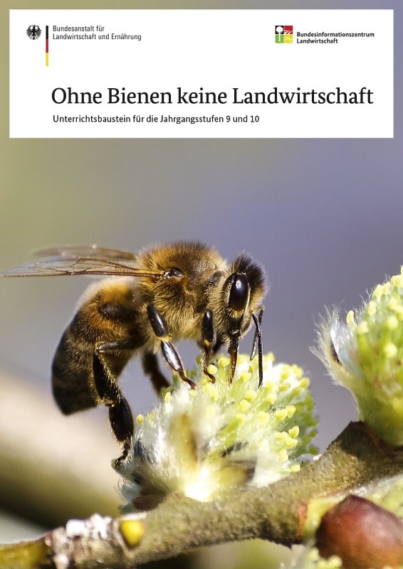 Ohne Bienen keine Landwirtschaft